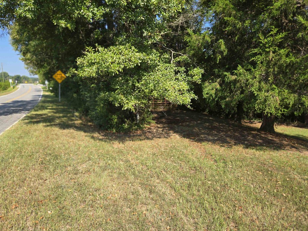 Picture 26