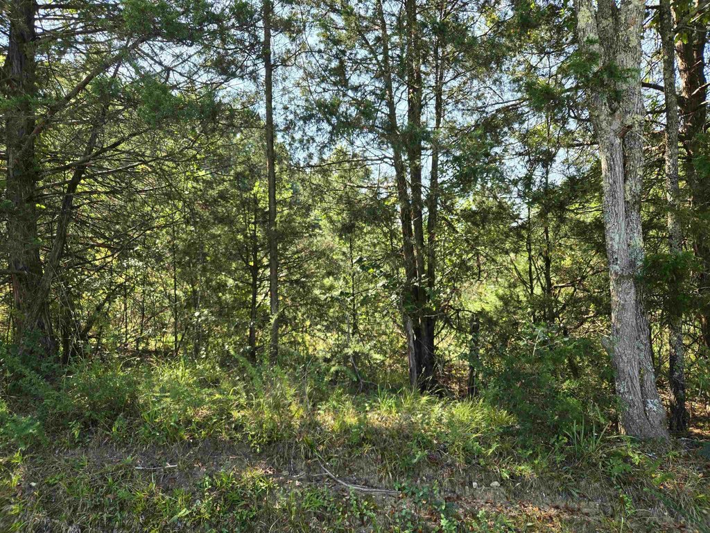 Picture 19