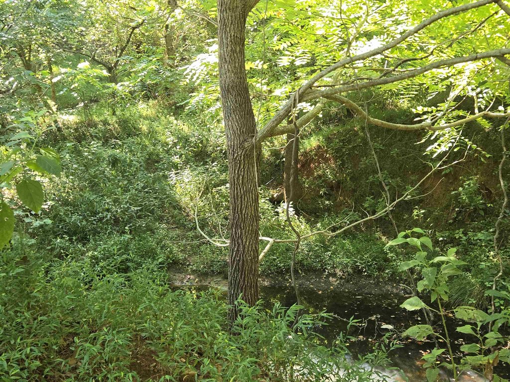 Picture 6