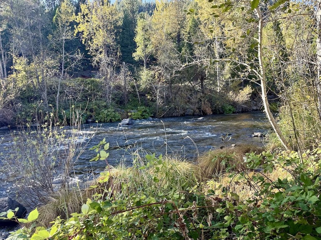 Picture 47