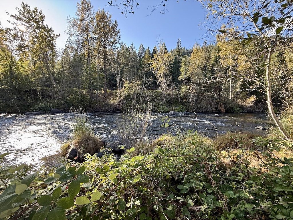 Picture 48