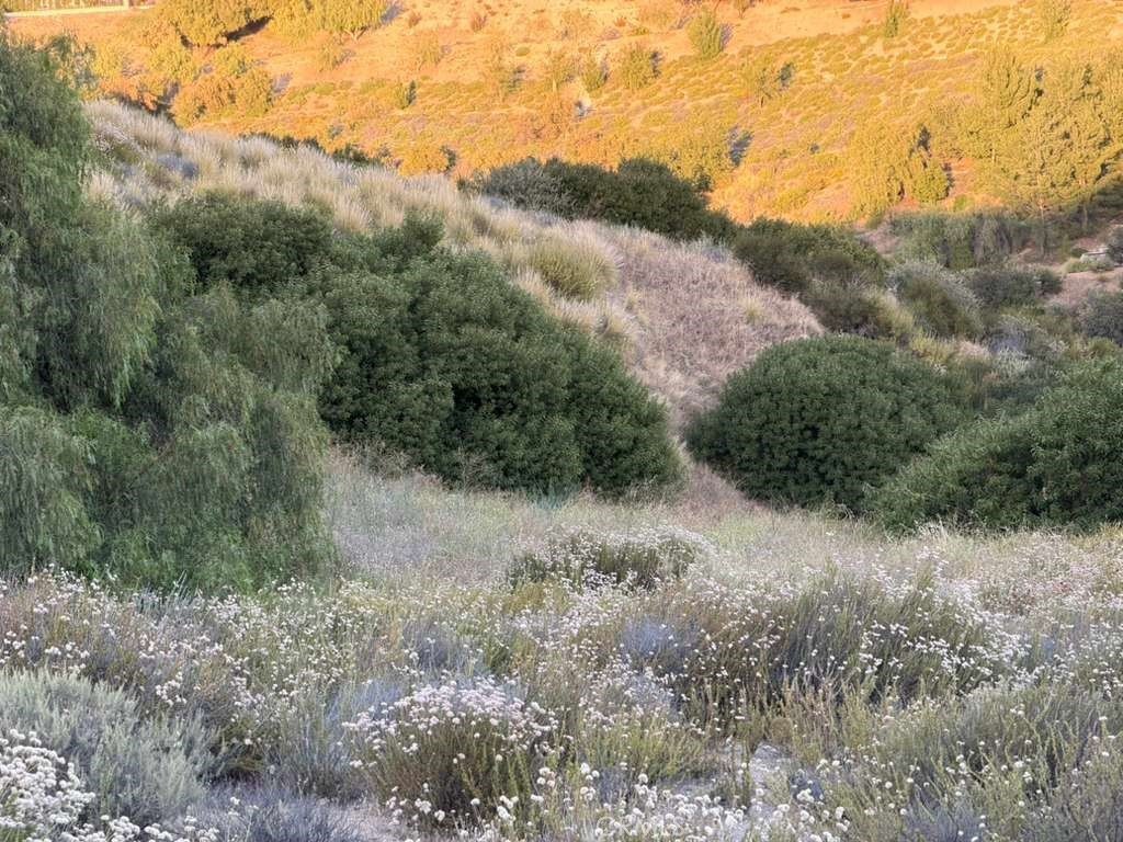 Picture 27
