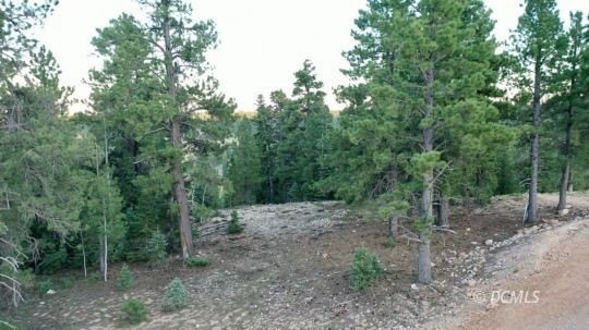 Picture 15