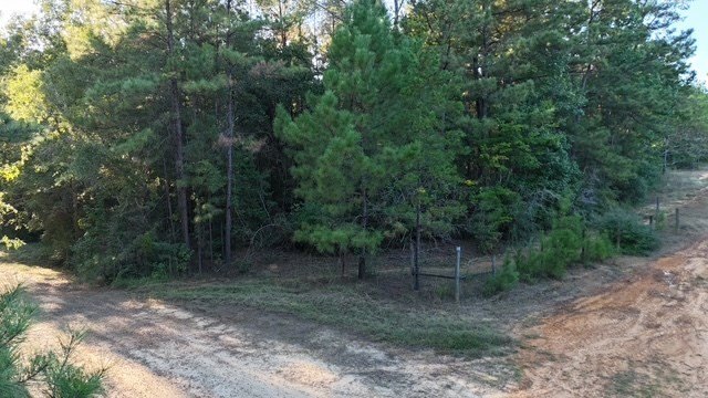 Picture 12