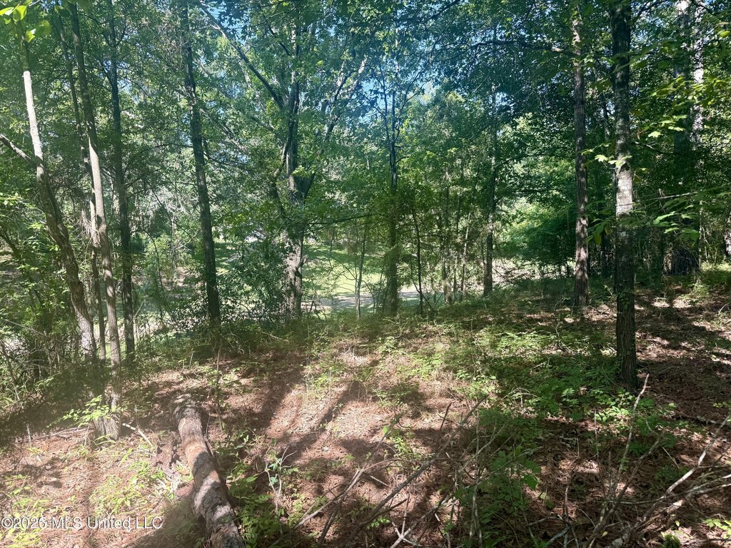 Picture 3