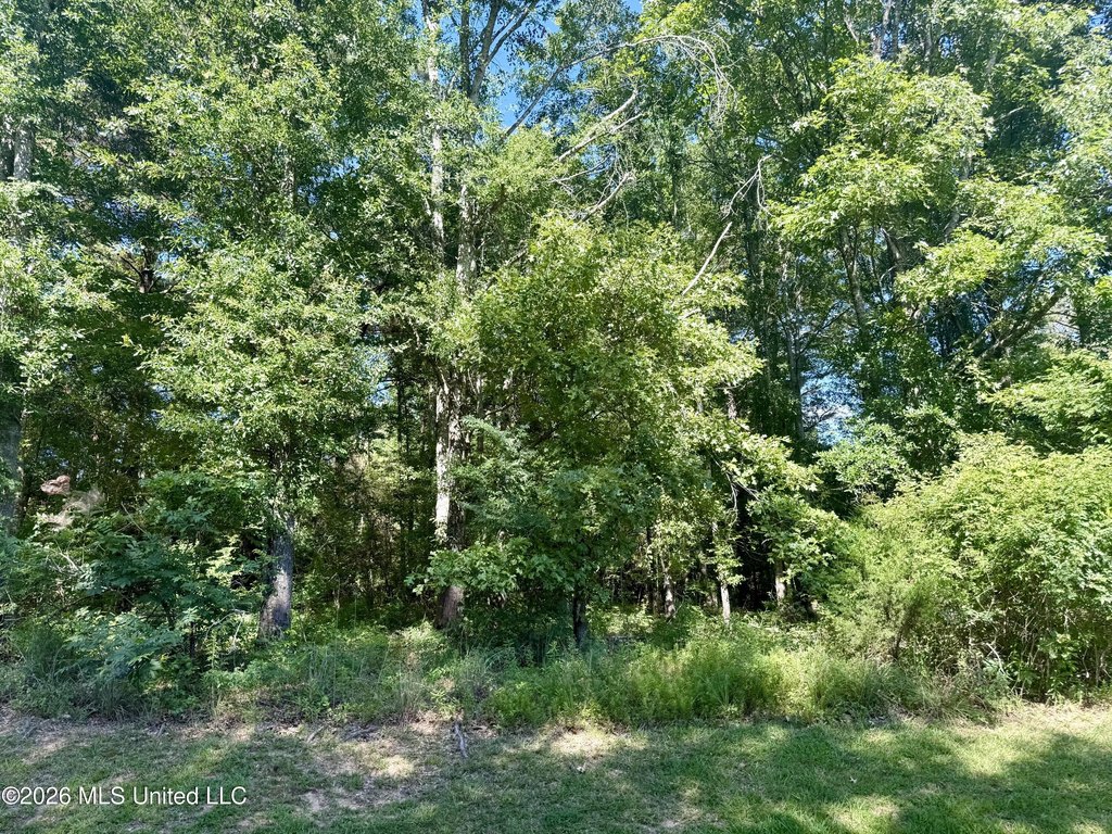Picture 8