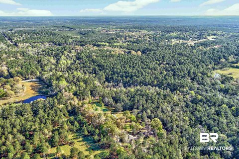 Expansive Residential Estate Parcel