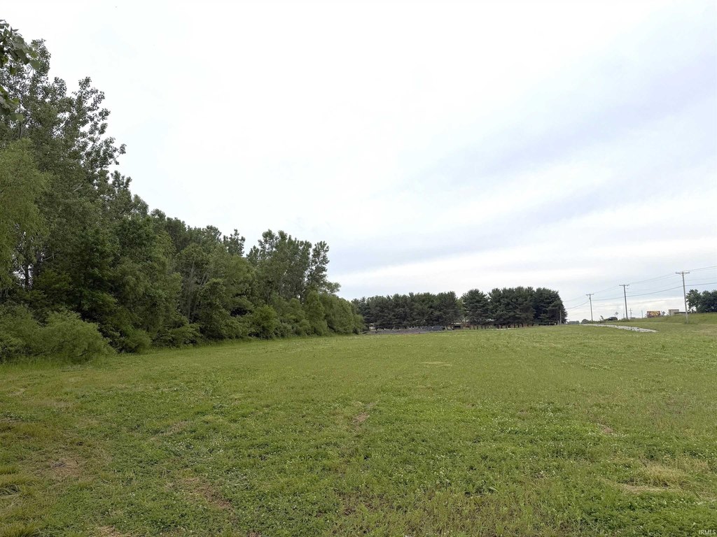 Picture 12
