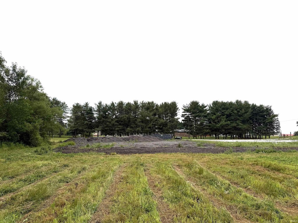 Picture 10