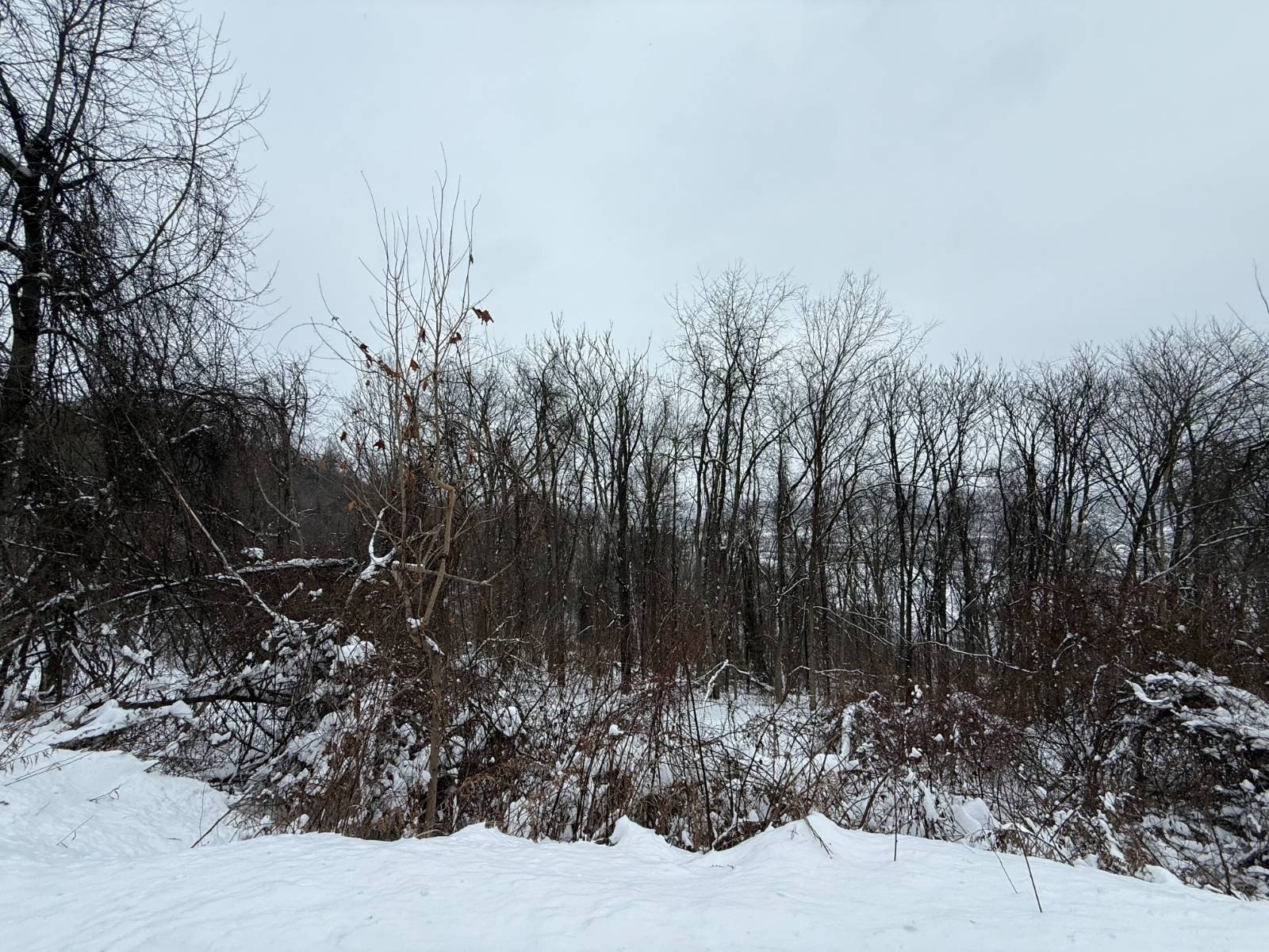 Aliquippa Vacant Land Opportunity