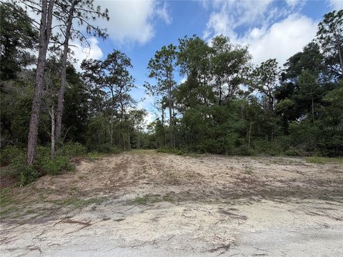 LAND - WEBSTER, FL