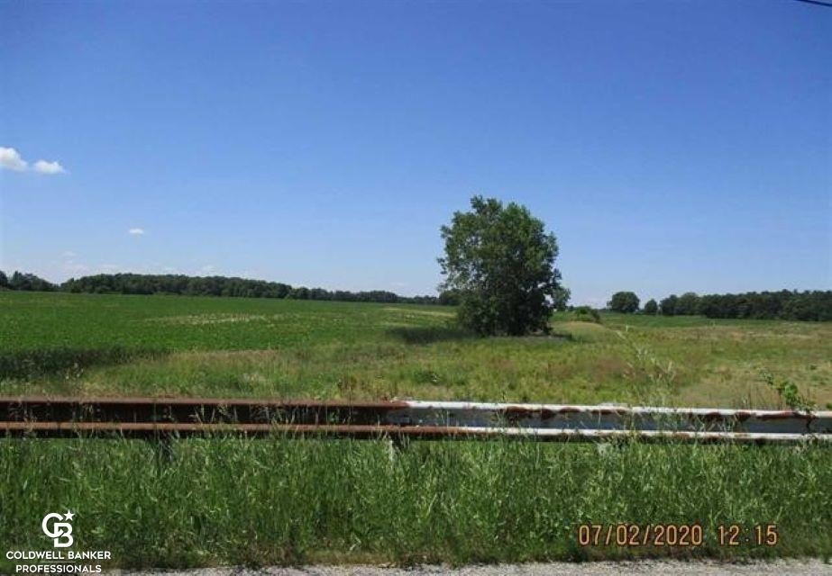 Picture 5