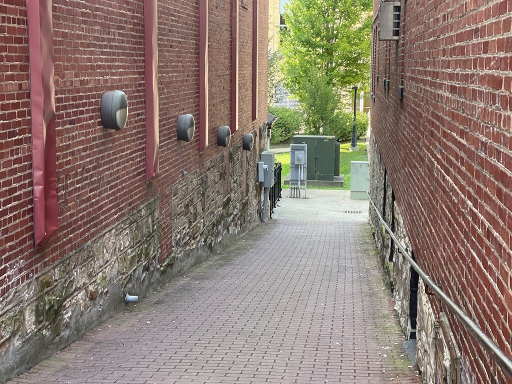 Picture 11