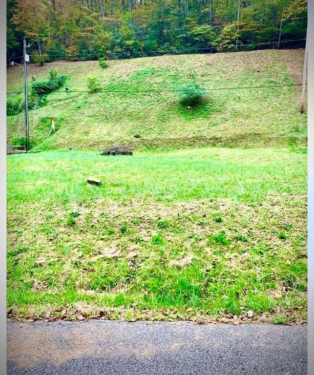 Picture 3
