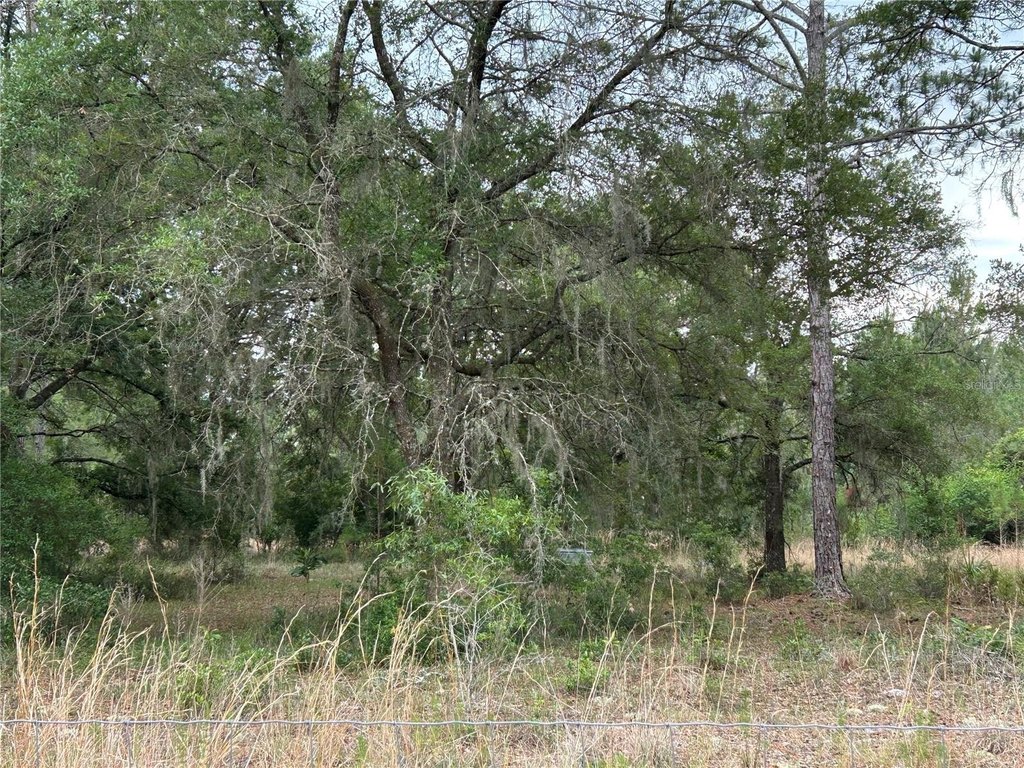 Picture 9