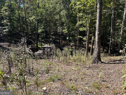Land, Ellijay, GA