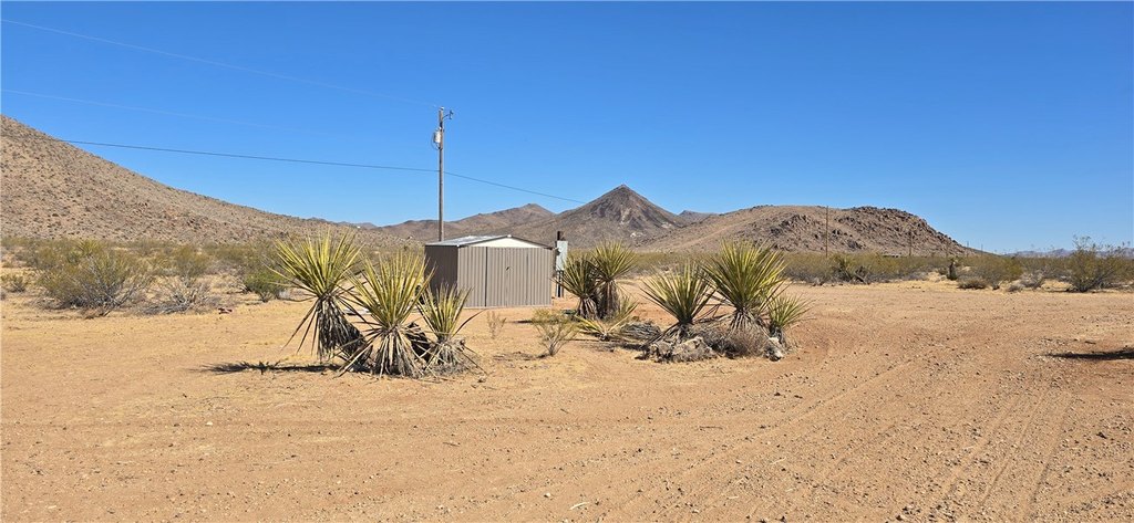 Picture 19