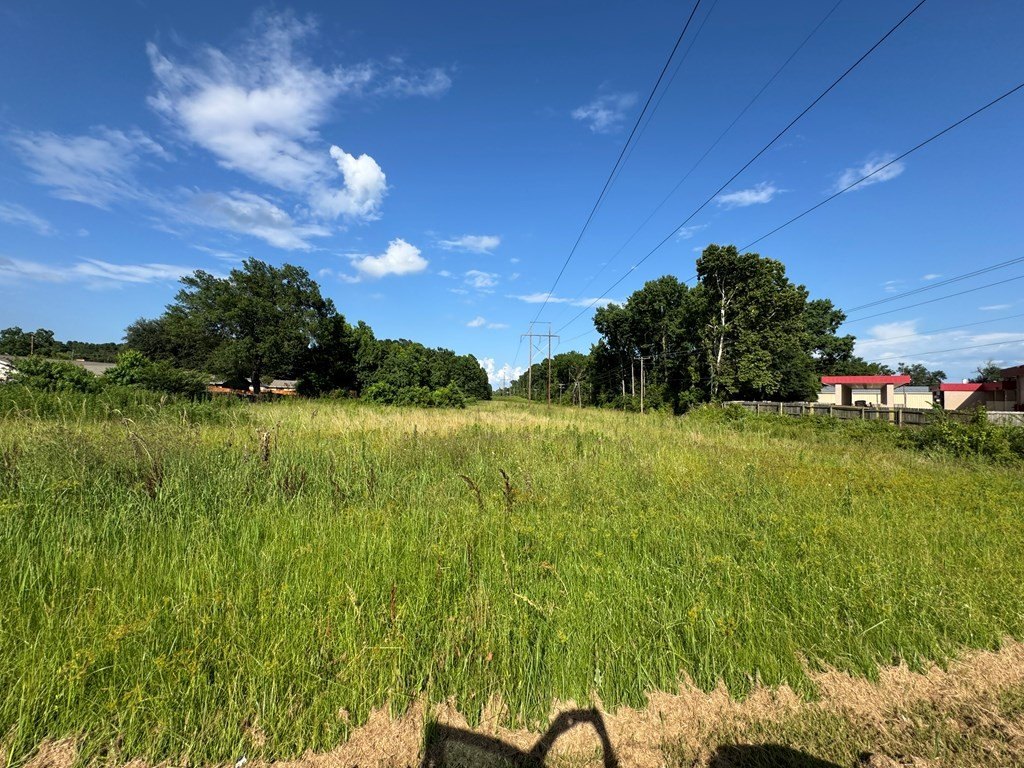 Picture 29