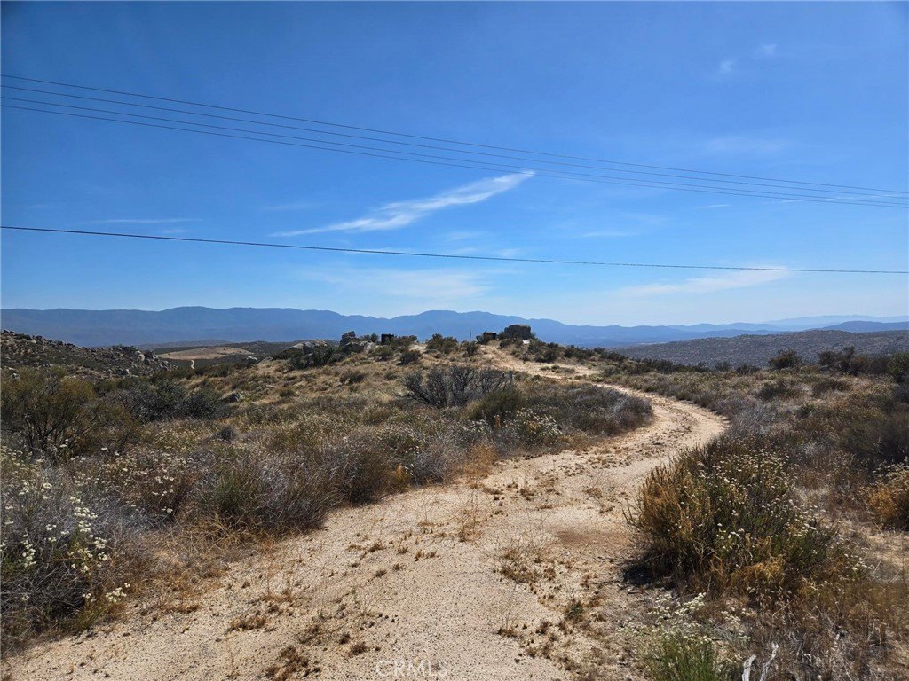 Picture 16