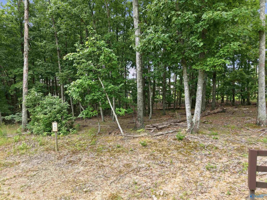 Picture 6