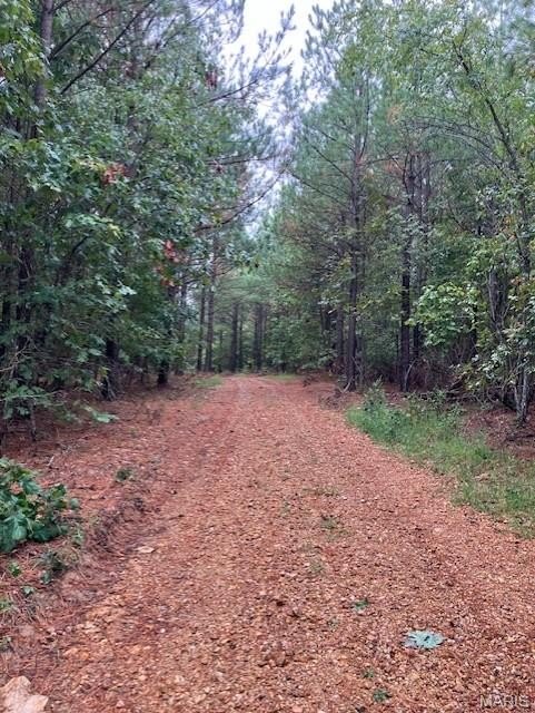 Secluded Wooded Land For Sale