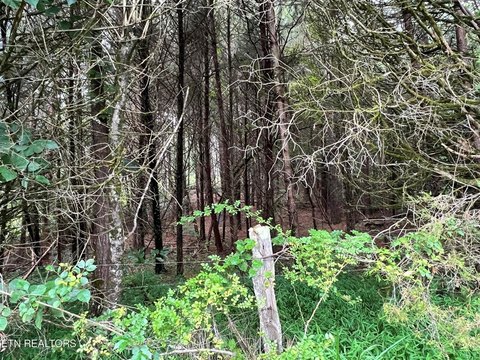 Decatur, TN Land For Sale