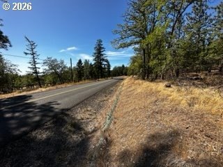Picture 12