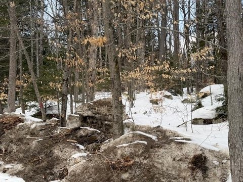 Corner Commercial-Residential Land Parcel