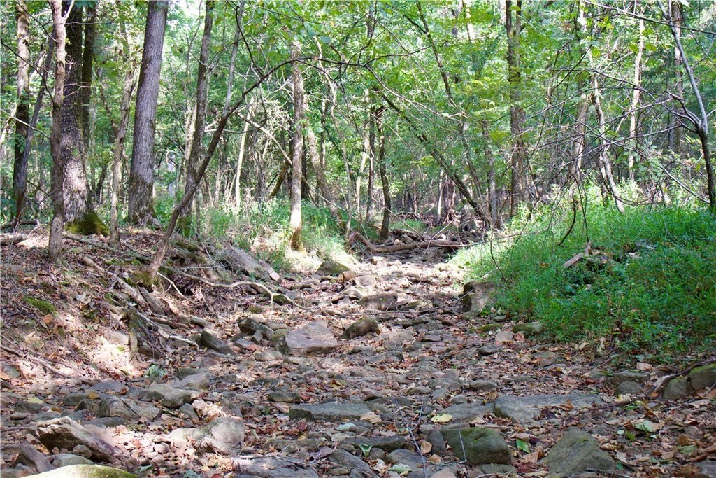 Picture 30