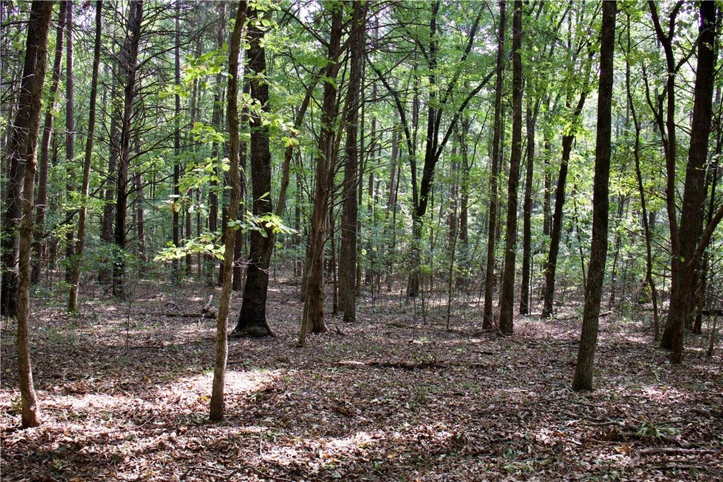 Picture 44