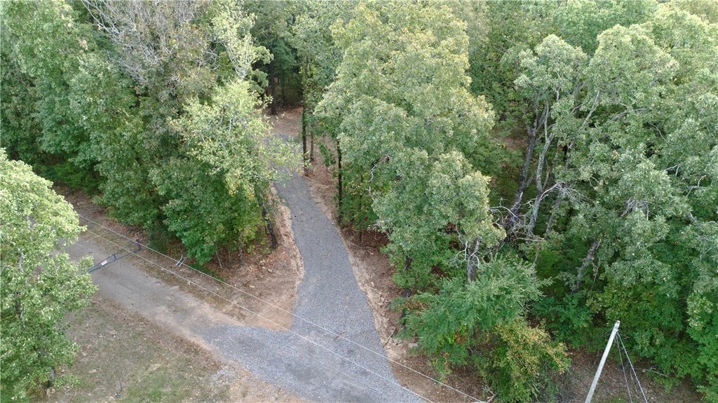 Picture 10