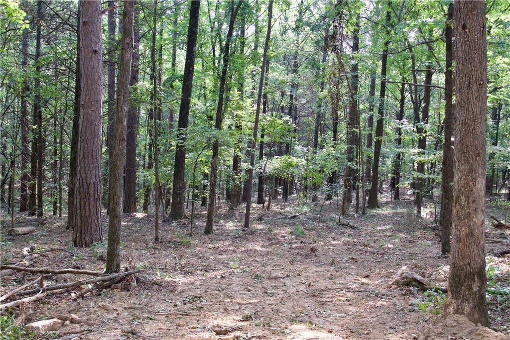 Picture 17