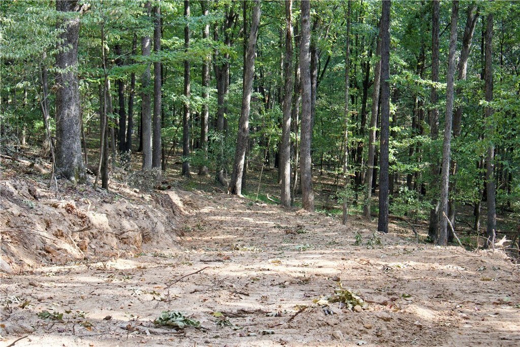 Picture 15