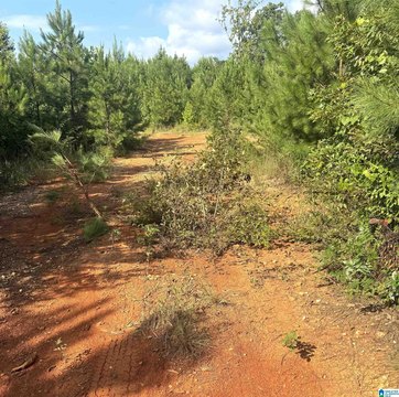 Acreage with Potential Lake Sites