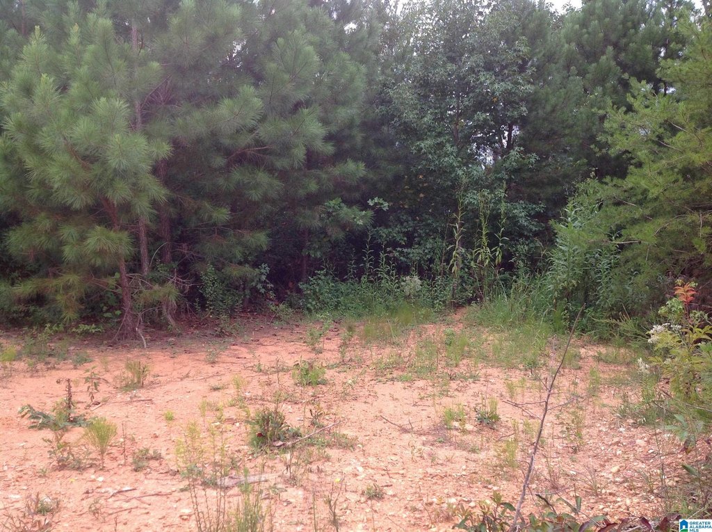 Picture 13