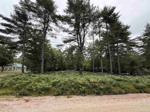 Land, Freedom, NH