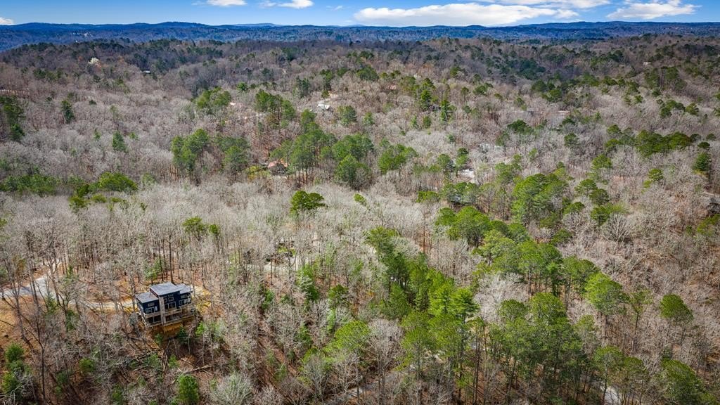 Picture 54