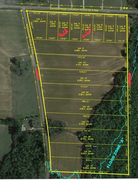 Residential Land in Ashford, AL