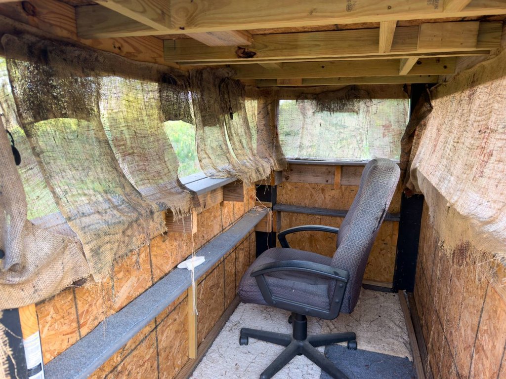 Picture 21