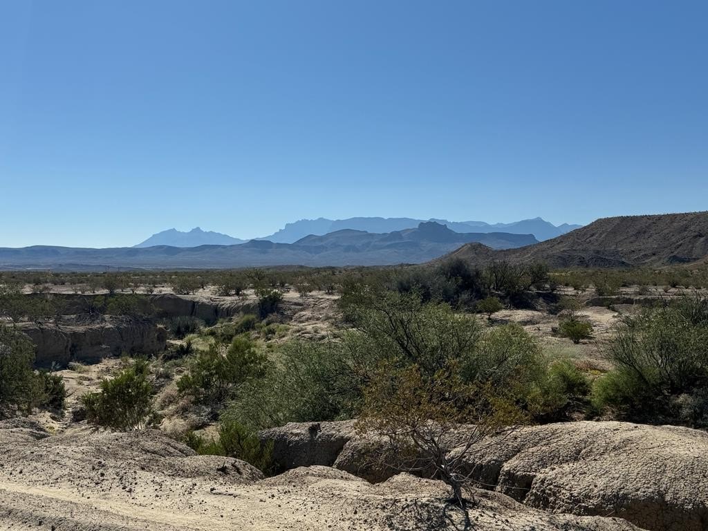 Terlingua Land with Mountain Views