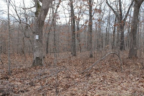 LAND - Edwards, MO