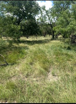 Lake Brownwood RV Lot