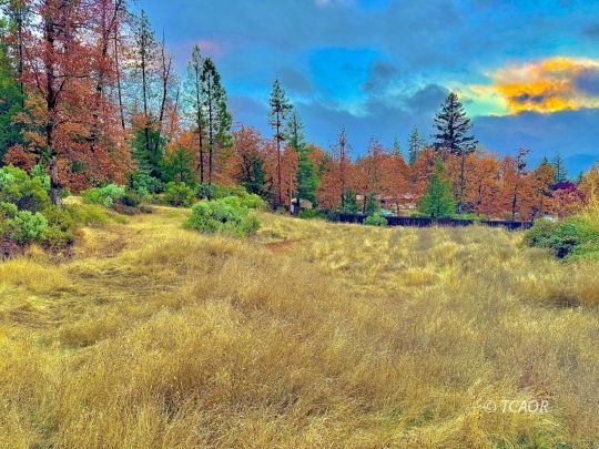 Hayfork Land with Utilities
