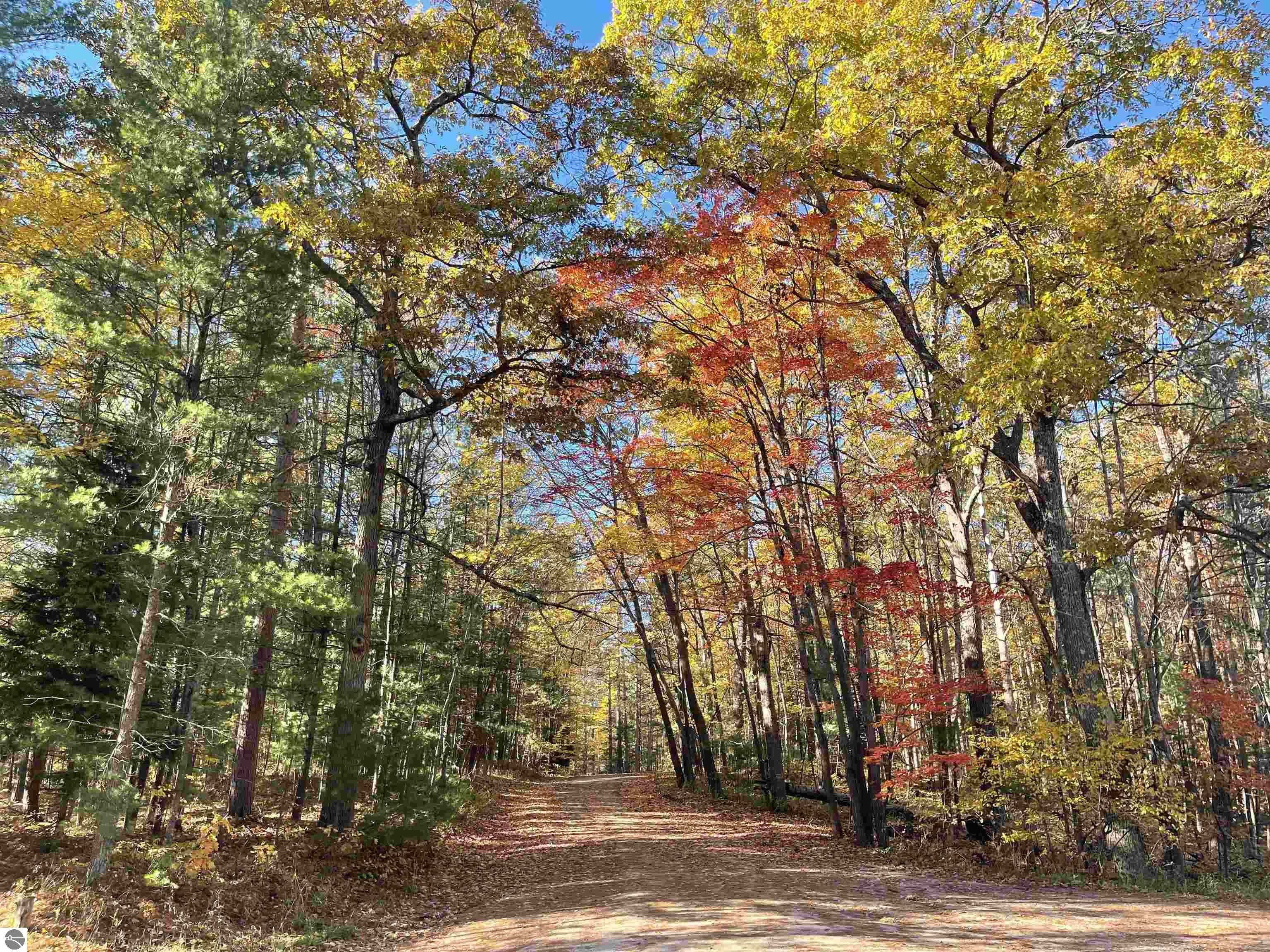 Williamsburg Acreage Borders State Land