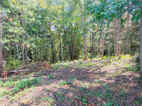 Land, Ladysmith, WI