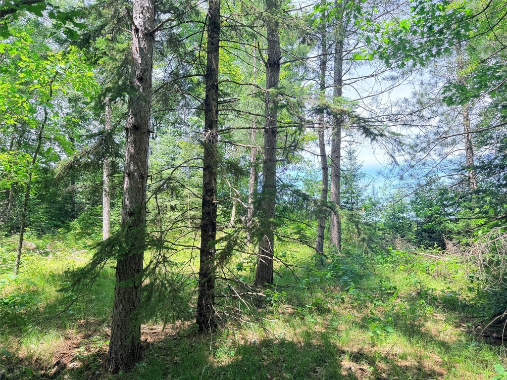 Picture 18