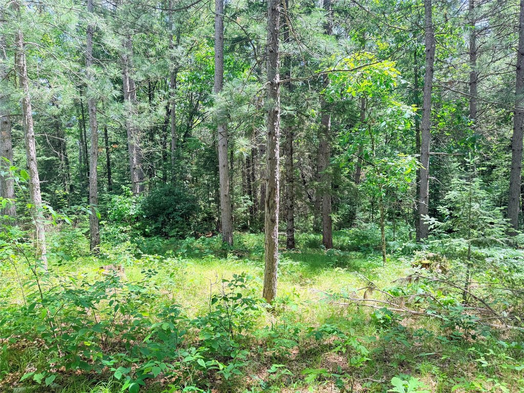 Picture 22