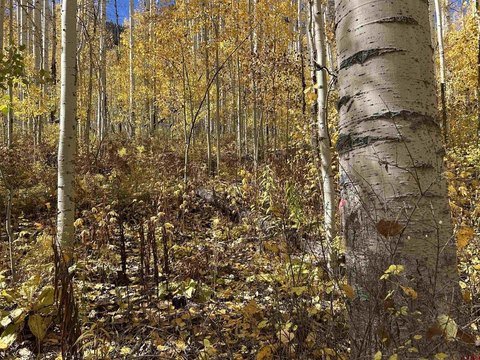 Land For Sale, Durango, CO