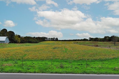 134+ Acre Republic Farmland