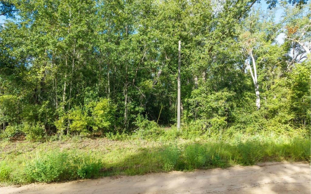 Picture 6